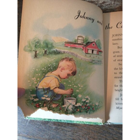 1950 Johnny and the Birds by Ian Munn Rand McNally Elf Book - Picture 2 of 5